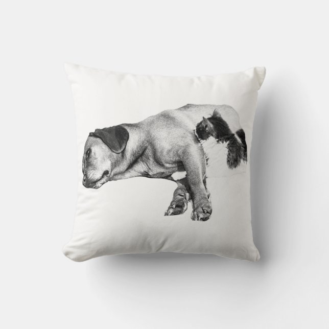 Coussin Compagnons citrouilles (Recto)