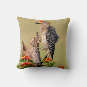 Coussin Comté de Hidalgo, Texas. Pic à front d'or