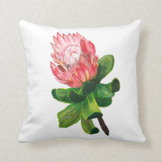 Coussin Conception de Protea, fleur australienne