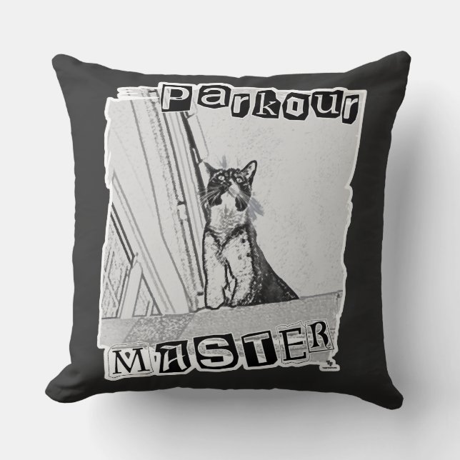 Coussin Conception drôle de chat punk maître de parkour ac (Recto)