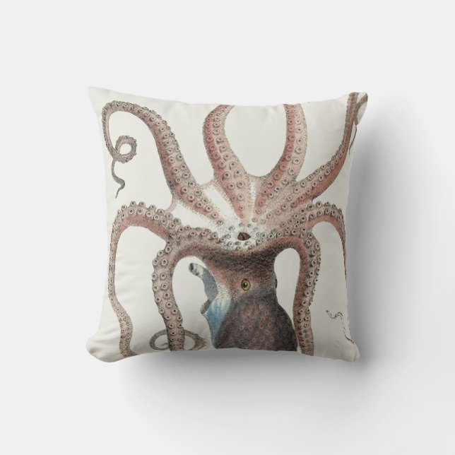 Coussin Conception nautique de poulpe/calmar/carreau de (Recto)