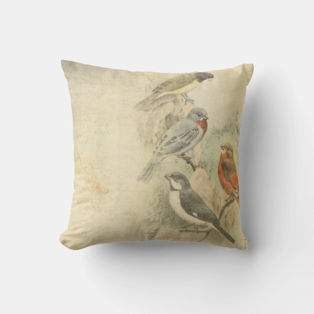 Coussin Conception portée par oiseaux vintages (Recto)