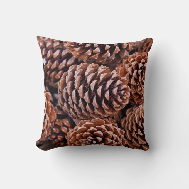 Coussin Cônes de pin chocolat d'hiver de vacances (Recto)