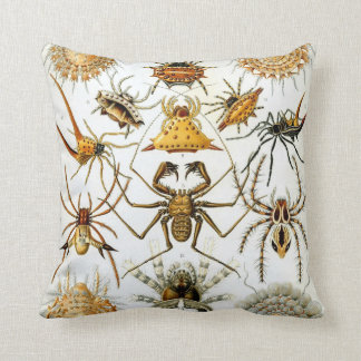 Coussin Confort d'anthropologie