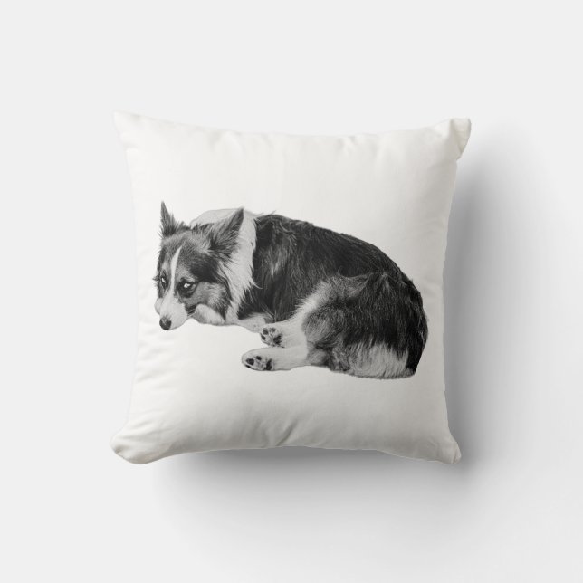 Coussin Confort de corgi (Recto)