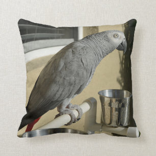 Coussin Congo : Le perroquet gris africain sur pied