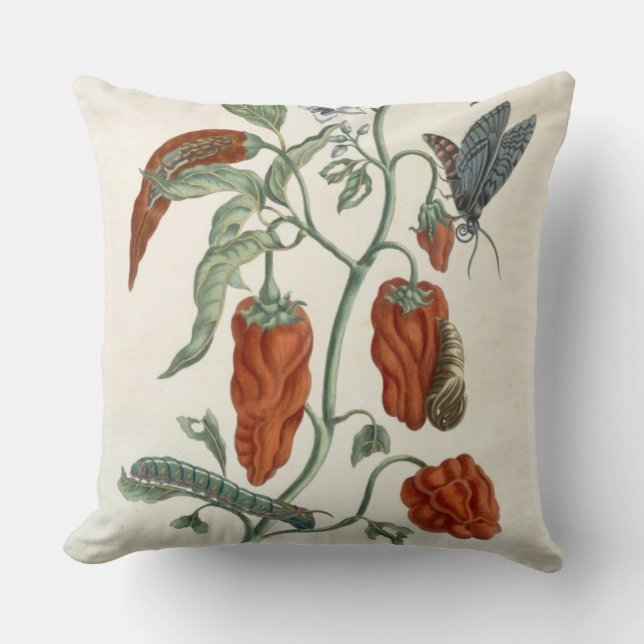 Coussin Consoude, "d'un de fines herbes curieux", 1782 (Recto)