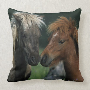 Coussin Contact miniature de chevaux