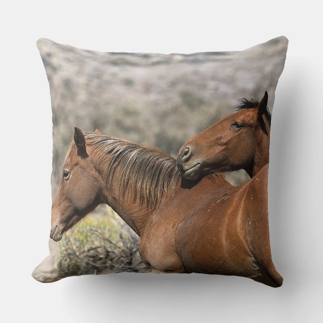 Coussin Contact sauvage de chevaux de mustang (Recto)