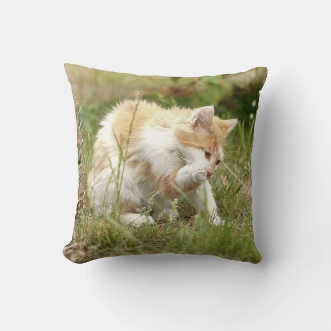 Coussin Conversation photo, chat, animaux, jeter l'oreille (Recto)