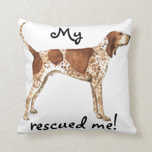 Coussin Coonhound de l'anglais américain de délivrance