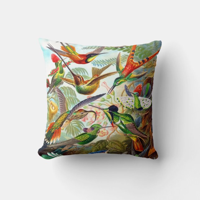 Coussin Copie 1904 de colibri d'Ernst Haeckel sur le (Recto)