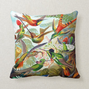 Coussin Copie 1904 de colibri d'Ernst Haeckel sur le