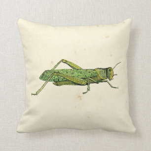 Coussin Copie encadrée de sauterelle verte