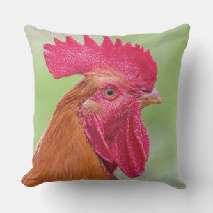 Coussin Coq et poulet