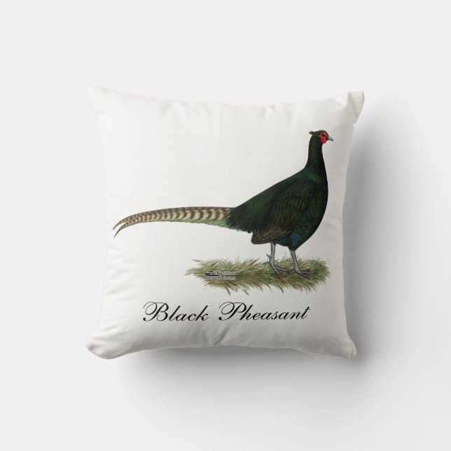 Coussin Coq noir de faisan (Recto)