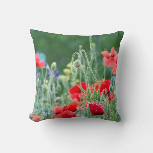 Coussin Coquelicots sauvages (Recto)
