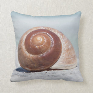 Coussin Coquillage   St Petersburg, la Floride