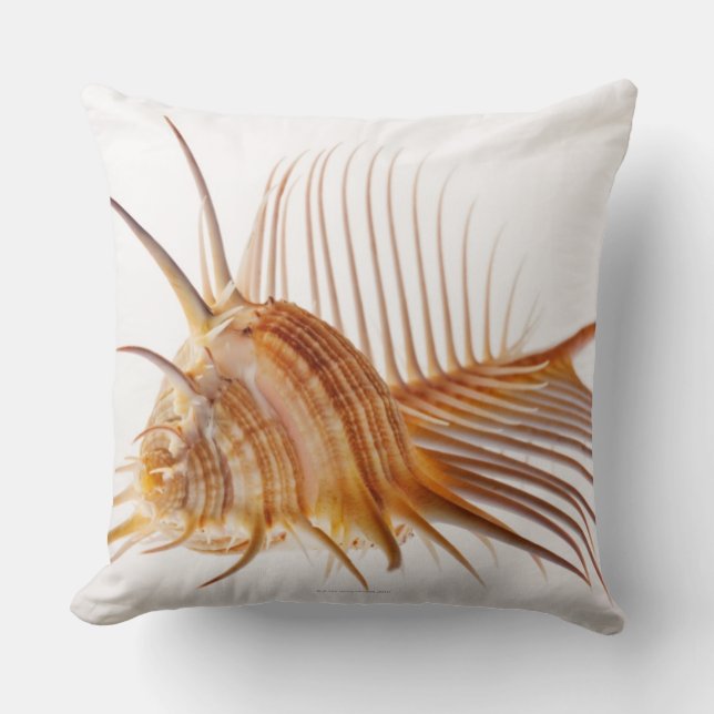 Coussin Coquille de Murex de peigne de Vénus (pectine de (Recto)