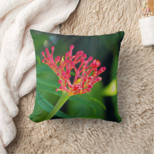 Coussin Coral Bush en fleurs