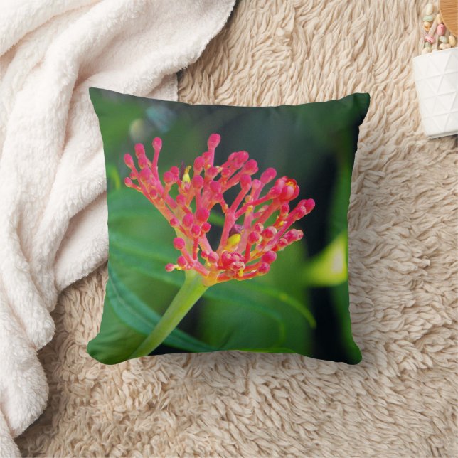 Coussin Coral Bush en fleurs (Couverture)