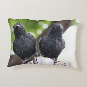 Coussin corbeau
