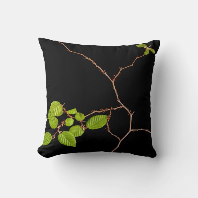 coussin coréen de bonsaïs de charme (Recto)