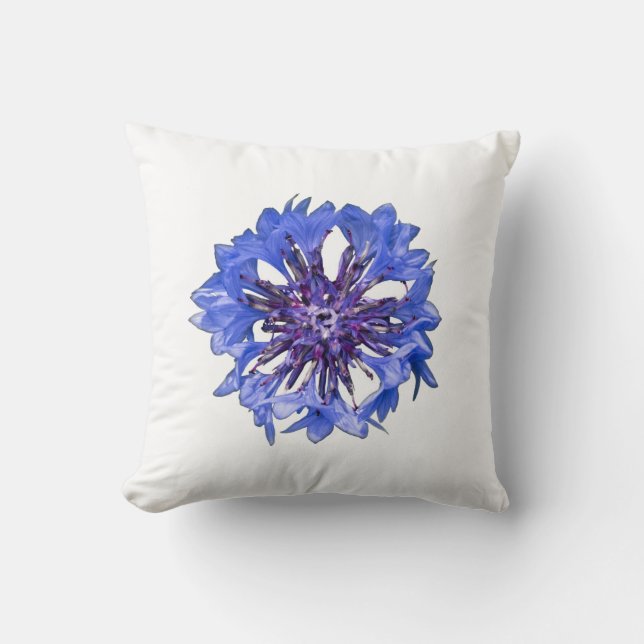 Coussin Cornflower, bouton de célibataire (Recto)