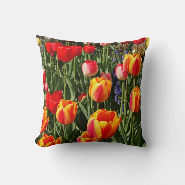 Coussin Correction de tulipe (Recto)
