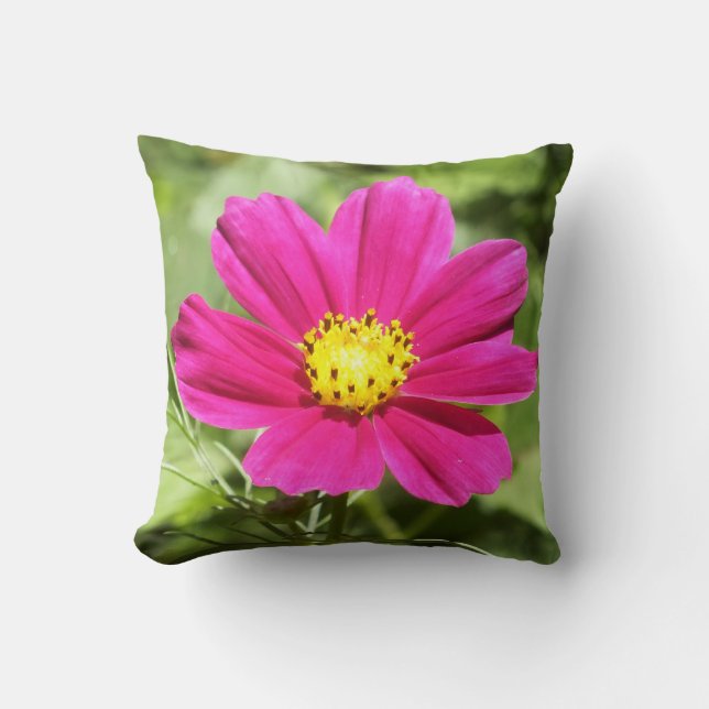 Coussin Cosmos Rose Chaud Couleur Lombaire (Recto)