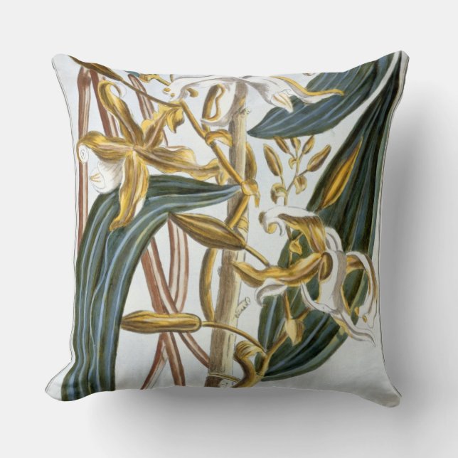 Coussin Cosses de vanille, plat 65, de 'collection (Recto)