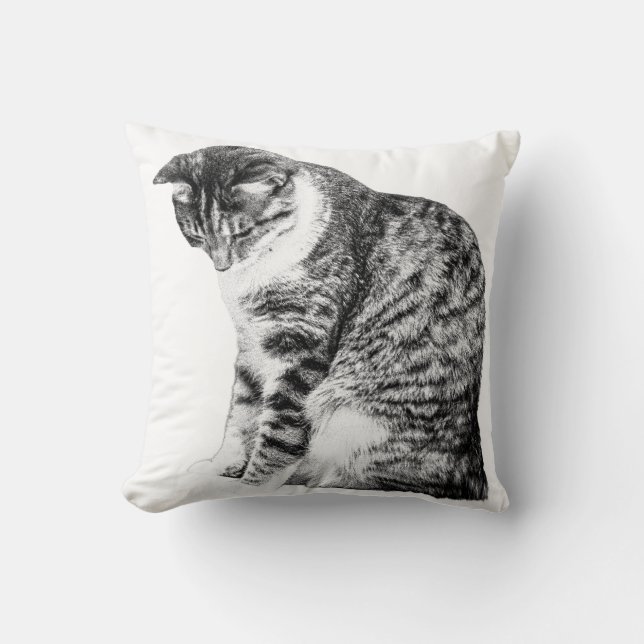 Coussin Cosy Corners avec Grace Chat Ombragée (Recto)