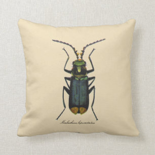 Coussin Coton vintage de réversible d'entomologie