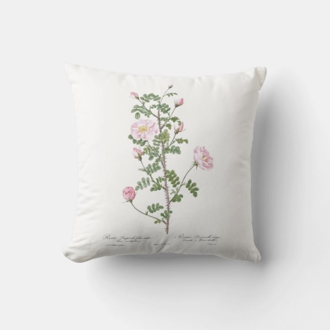 Coussin Cottage Fleur Rose Clair (Recto)