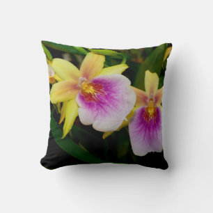 Coussin Coucher de soleil de Miltonia