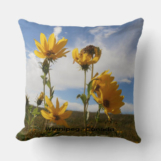 Coussin Coucher de soleil des Prairies