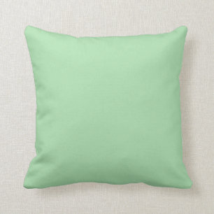 Coussin Couleur Celadon Arrière - plan Vert clair Pastel 