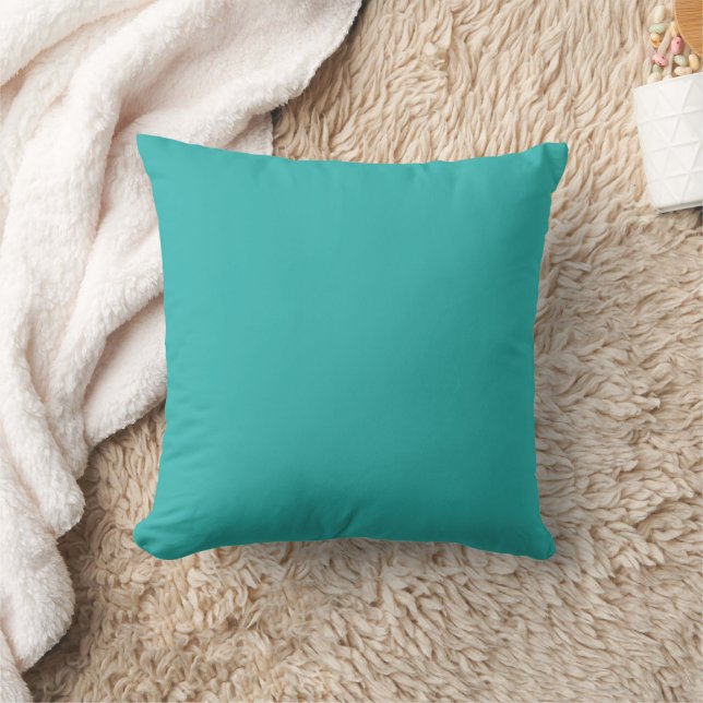 Coussin Couleur Turquoise solide (Couverture)