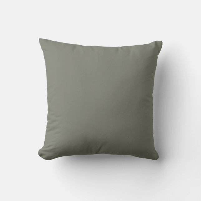 Coussin Couleur Uni Vert Neutre Sous-Ton 2026 COTY  (Recto)
