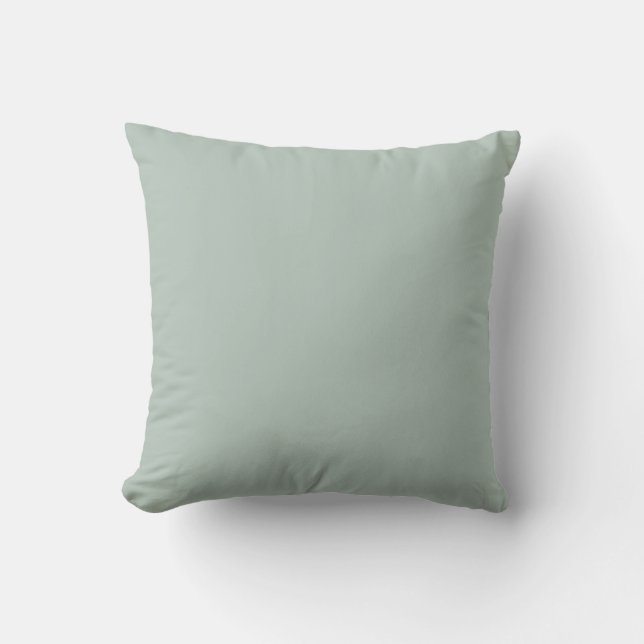Coussin Couleur vert eucalyptus assourdi (Recto)