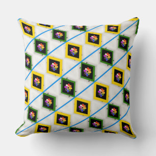Coussin Couleurs arc-en-ciel encadrées