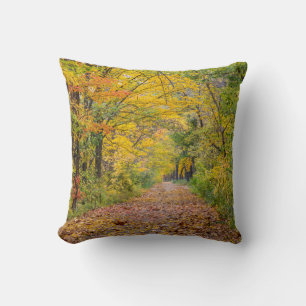 Coussin Couleurs d'automne au Independence State Park