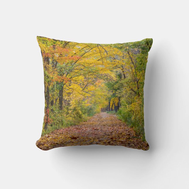 Coussin Couleurs d'automne au Independence State Park (Recto)