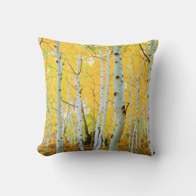 Coussin Couleurs d'automne des arbres d'Aspen 1 (Recto)