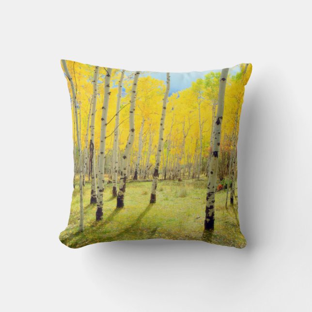Coussin Couleurs d'automne des arbres d'Aspen 4 (Recto)