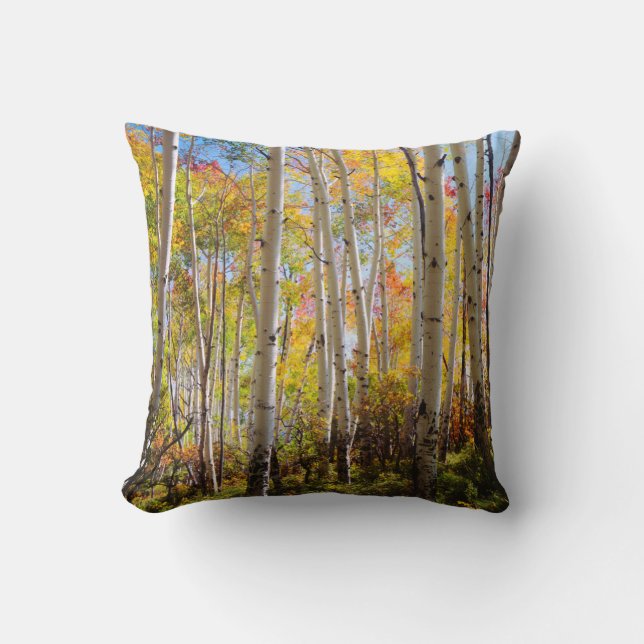 Coussin Couleurs d'automne des arbres d'Aspen 5 (Recto)