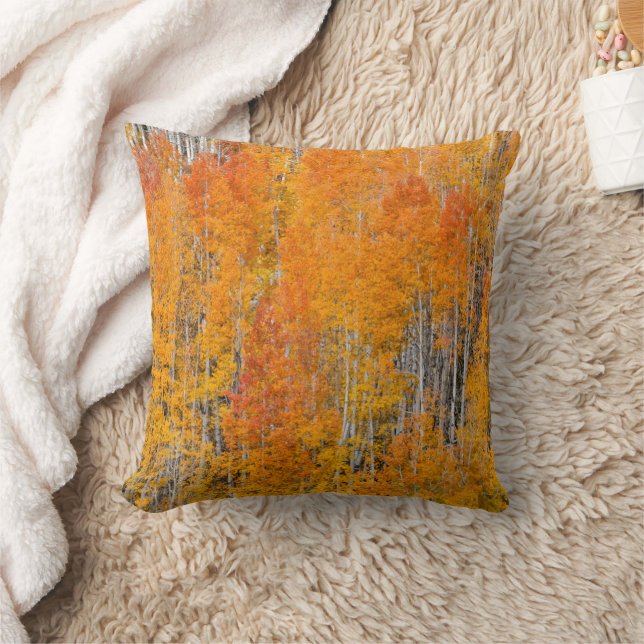 Coussin Couleurs d'automne sur les bosquets de trembles (Couverture)