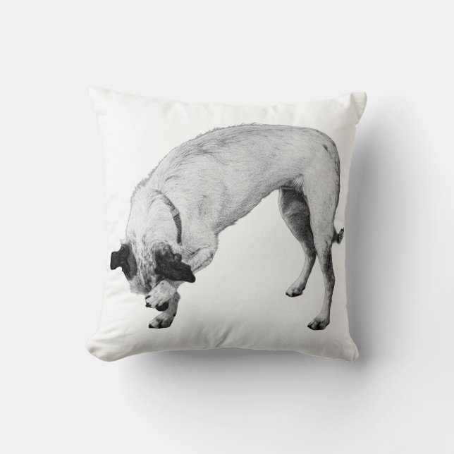 Coussin Coupe Bashy, Cosy Corner (Recto)