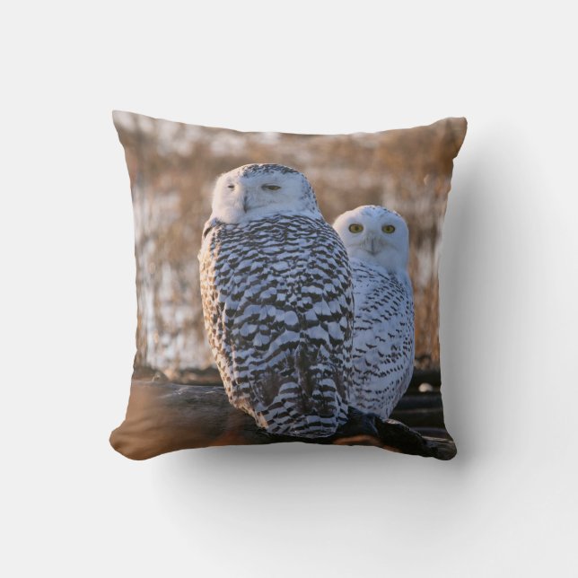 Coussin Couples de hibou de Milou (Recto)