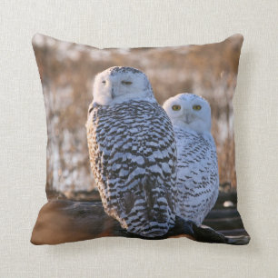 Coussin Couples de hibou de Milou